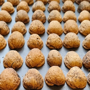 75 pieces walnut halves walnut shells autumn arrangement winter Christmas decoration handicraft gift decoration DIY