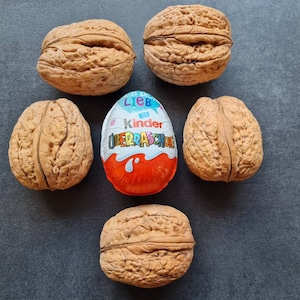 Könnte beinhalten: Fünf Walnüsse und ein Kinder Überraschung Schokoladenei auf einer grauen Oberfläche. Das Ei ist in bunte Folie verpackt mit dem Text "Kinder Überraschung" darauf.