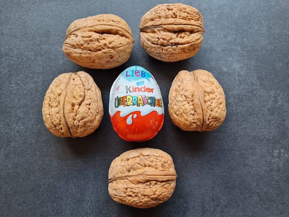 Gigantic XXL Walnuts 2024, Over 4.5 Cm to 7 Cm - Etsy