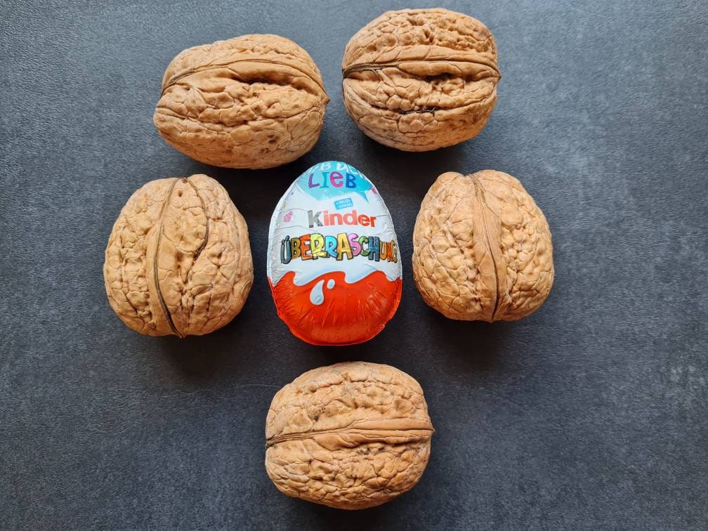 Gigantic XXL Walnuts 2024, Over 4.5 Cm to 7 Cm - Etsy