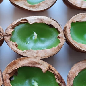 Large floating candles green candle walnut halves walnut decoration craft gift