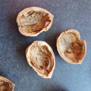 300 grams walnut halves walnut bowls decoration crafts gift decoration. Condition: BROKEN GOODS BREAKAGE
