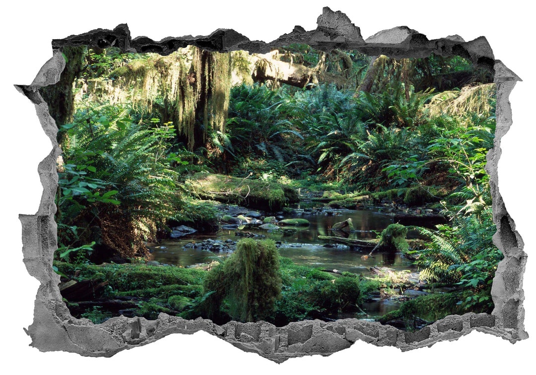 Rainforest Wall Decal Stickers Tropical Forest Wall Decor River Decals