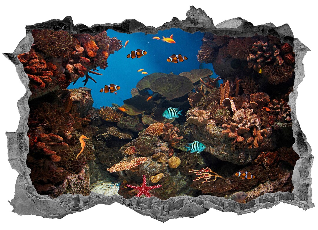 Tropical Fish Wall Stickers Sea Life Wall Decals Stickers Hole in Wall