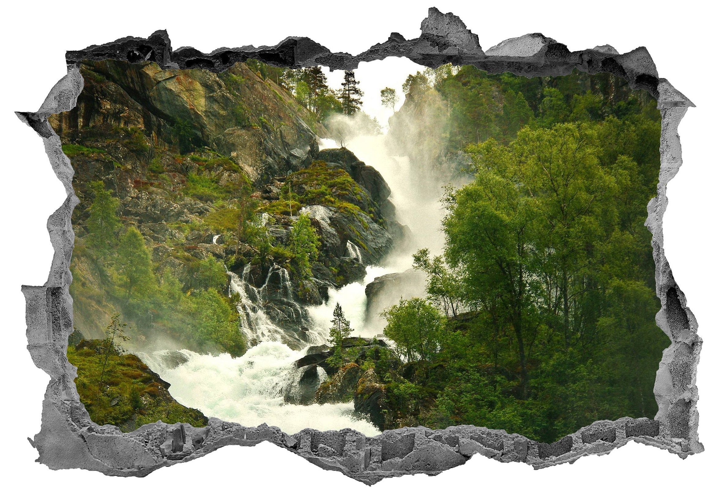 Rainforest Wall Decal Stickers Tropical Forest Wall Decor River Decals