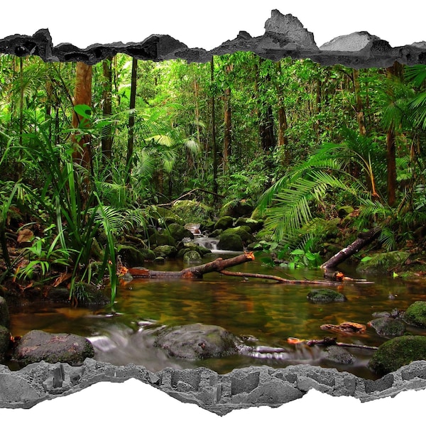 Rainforest Wall Art Etsy UK