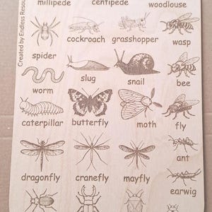 Wooden UK Minibeast Idenfication Chart 290mm by 190mm by 3mm thick  for home learning and forest schools