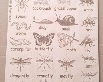 Wooden UK Minibeast Idenfication Chart 290mm by 190mm by 3mm thick  for home learning and forest schools