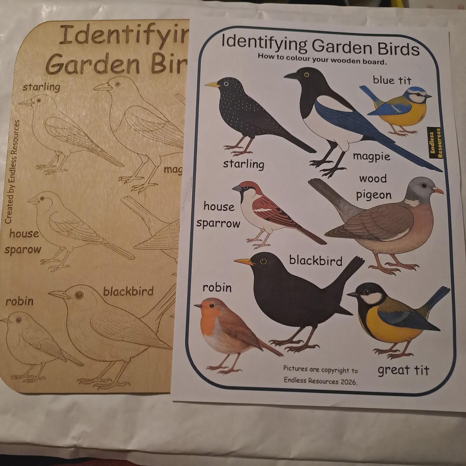 Wooden UK Minibeast Idenfication Chart 290mm by 190mm by 3mm Thick for ...