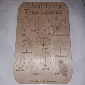May include: A rectangular light-coloured wooden plaque titled Identifying Tree Leaves, featuring laser-engraved illustrations of nine distinct leaf shapes labelled oak, holly, horse chestnut, hawthorn, ash, sycamore, beech, birch, hazel, and yew.
