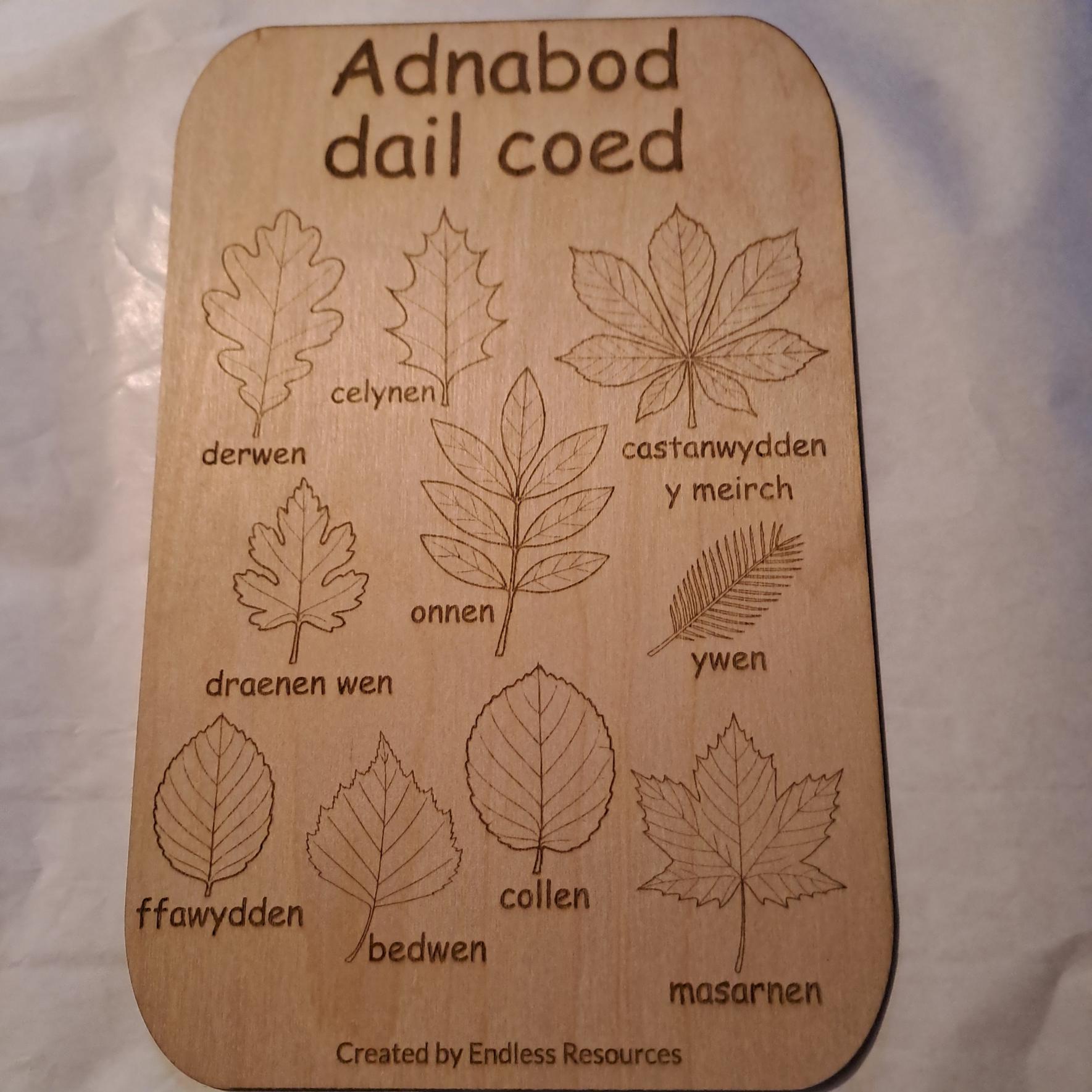 Wooden UK Minibeast Idenfication Chart 290mm by 190mm by 3mm Thick for ...