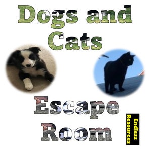 May include: A black and white border collie puppy and a black cat are featured in separate circles. The text "Dogs and Cats Escape Room" is in large, bold letters with a green and yellow background. The text "Endless Resources" is in a yellow rectangle.