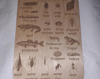 Wooden UK Pond Creatures Idenfication Chart 290mm by 190mm by 3mm thick  for home learning and forest schools
