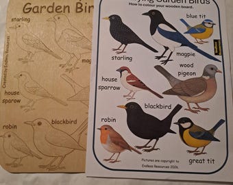 Wooden Colour your own Bird Idenfication Chart 290mm by 190mm by 3mm thick  for home learning and forest schools