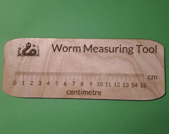 Wooden Worm Measuring Tool  - 15cm ruler EYFS school home learning maths reception Montessori also twig and flower