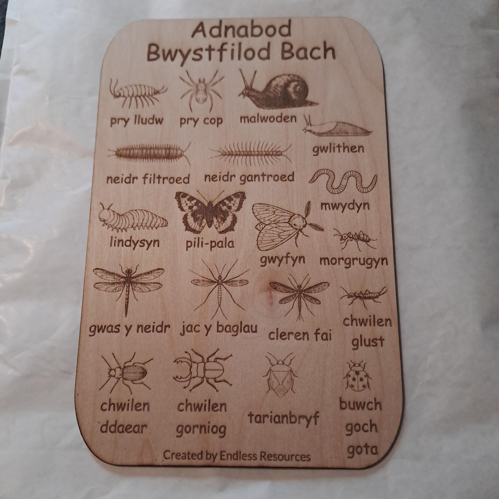 Wooden UK Minibeast Idenfication Chart 290mm by 190mm by 3mm Thick for ...