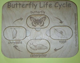 A5 Wooden UK Life Cycle Charts with 4 removable pictures at each stage - butterfly, frog, plant, bee, chicken