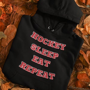 Hockey Pun Hoodie, Funny Hockey Hoodie, Hockey Fan Hoodie, Hockey Hooded Sweatshirt