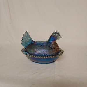 Hen on Nest