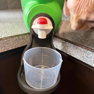 Può includere: Una bottiglia verde di detersivo con un meccanismo di erogazione rosso e bianco. Un misurino di plastica trasparente è posto sotto. Il misurino ha segni di misurazione e il logo P&G.