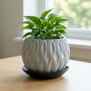 May include: A houseplant with bright green leaves in a grey, patterned ceramic pot. The pot sits on a black saucer. The plant pot is on a light-coloured wooden table. The pot's diameter is approximately 20 cm.