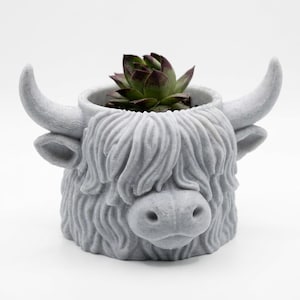 Puede incluir: Una maceta gris con forma de vaca de las Tierras Altas, con un pelaje texturizado y lanudo y cuernos. La maceta contiene una suculenta verde y burdeos. La cara de la vaca presenta una nariz y orejas detalladas. La maceta está hecha de un material duradero.