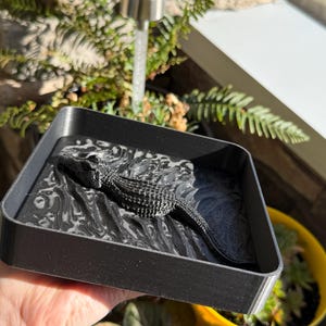 Alligator Catch All Tray