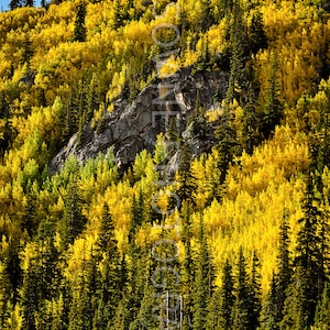 Aspen Mountainside