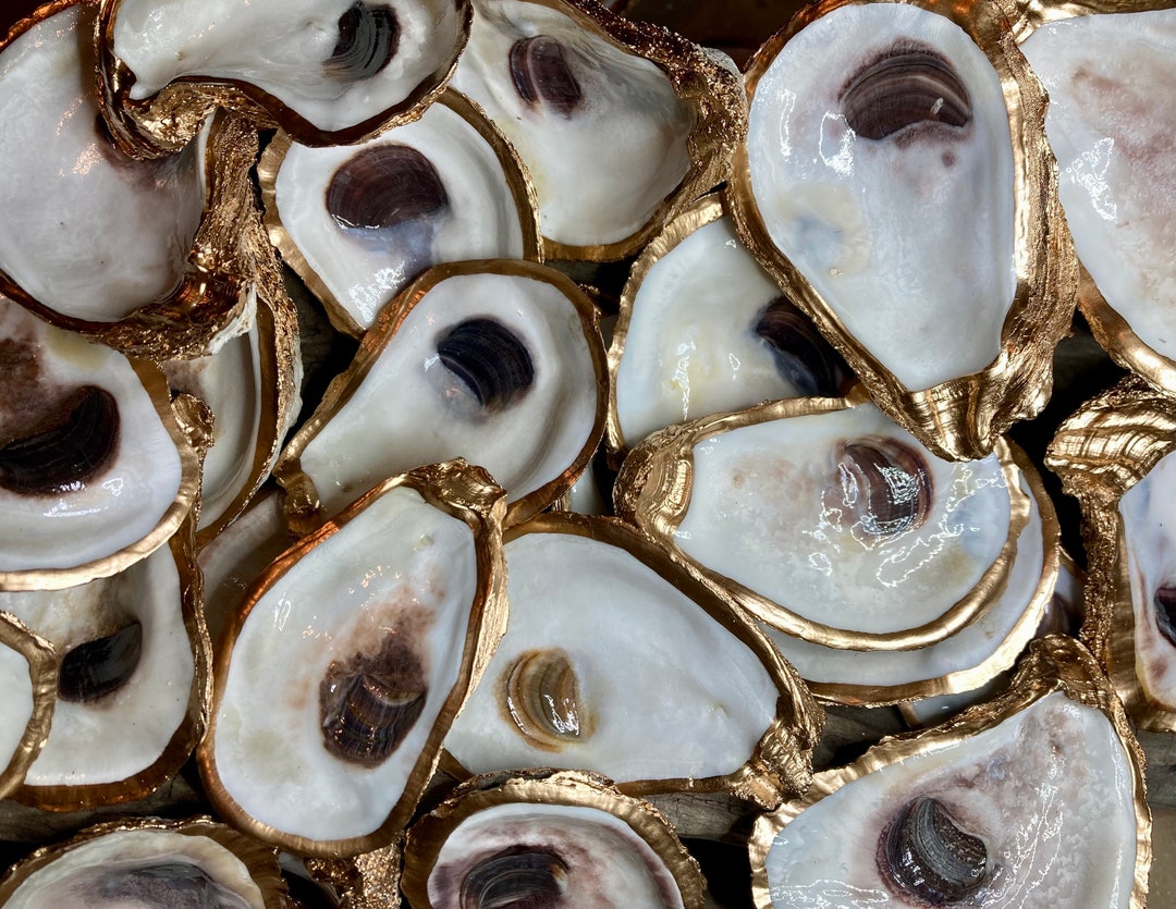 50 Gold Gilded Oyster Shells: Beach Wedding Favors, Coastal Decor - Etsy