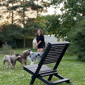 Peut inclure: Trois chiens jouant dans une cour herbeuse avec une chaise en bois noir au premier plan. Les chiens sont un chien blanc et brun, un chien brun et blanc et un chien noir et blanc.