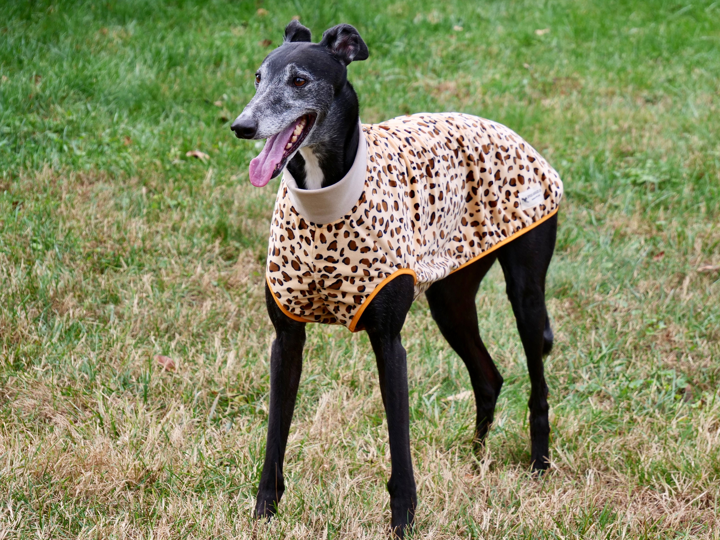 Lightweight greyhound pajamas hotsell