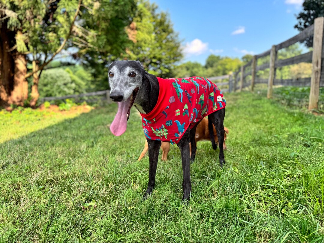 Sleeveless Style Handmade Stretchy Cotton Blend Greyhound Pajamas ...