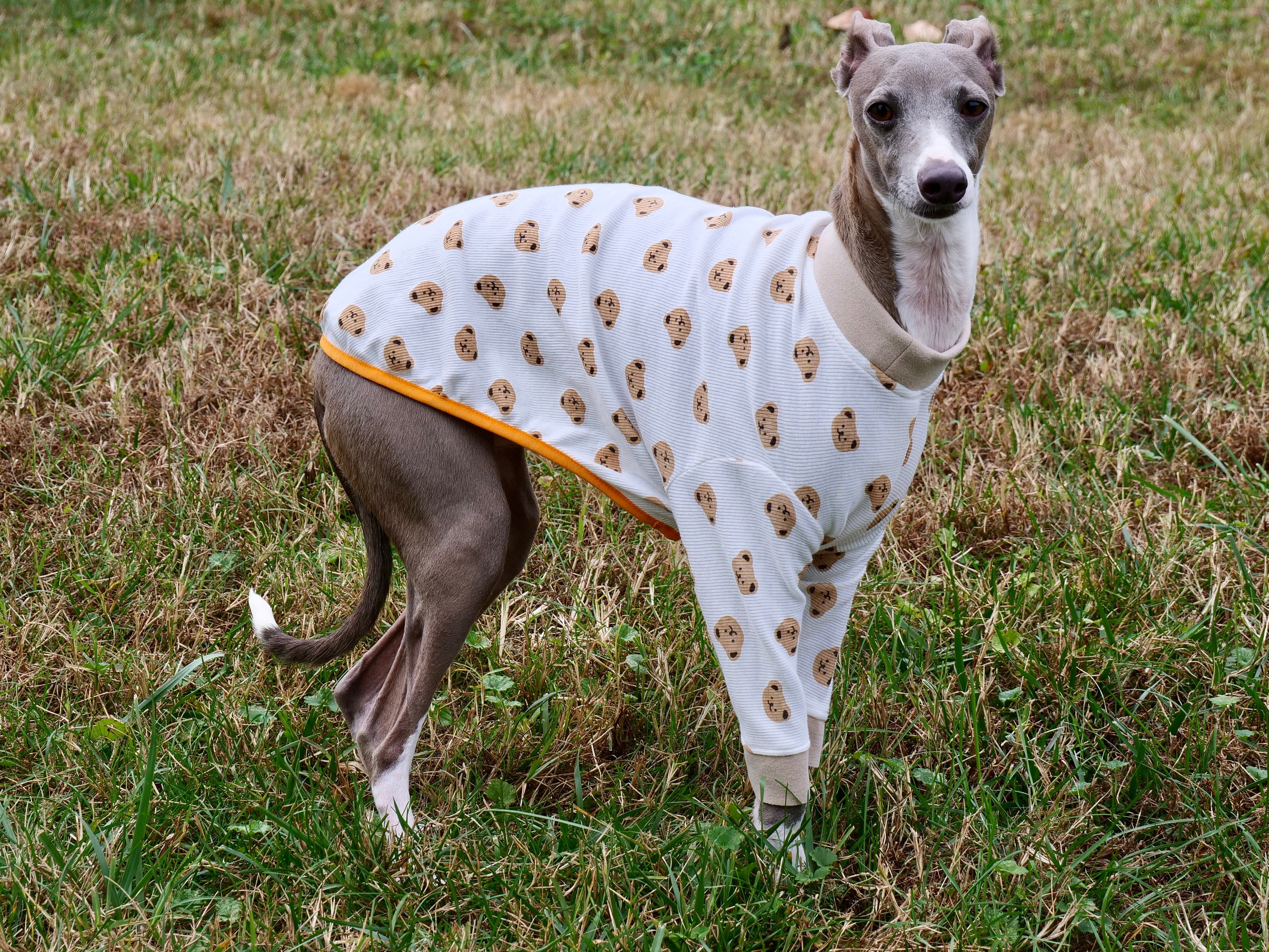 Italian Greyhound 2 sleeved Style Handmade Cotton Blend Pajamas