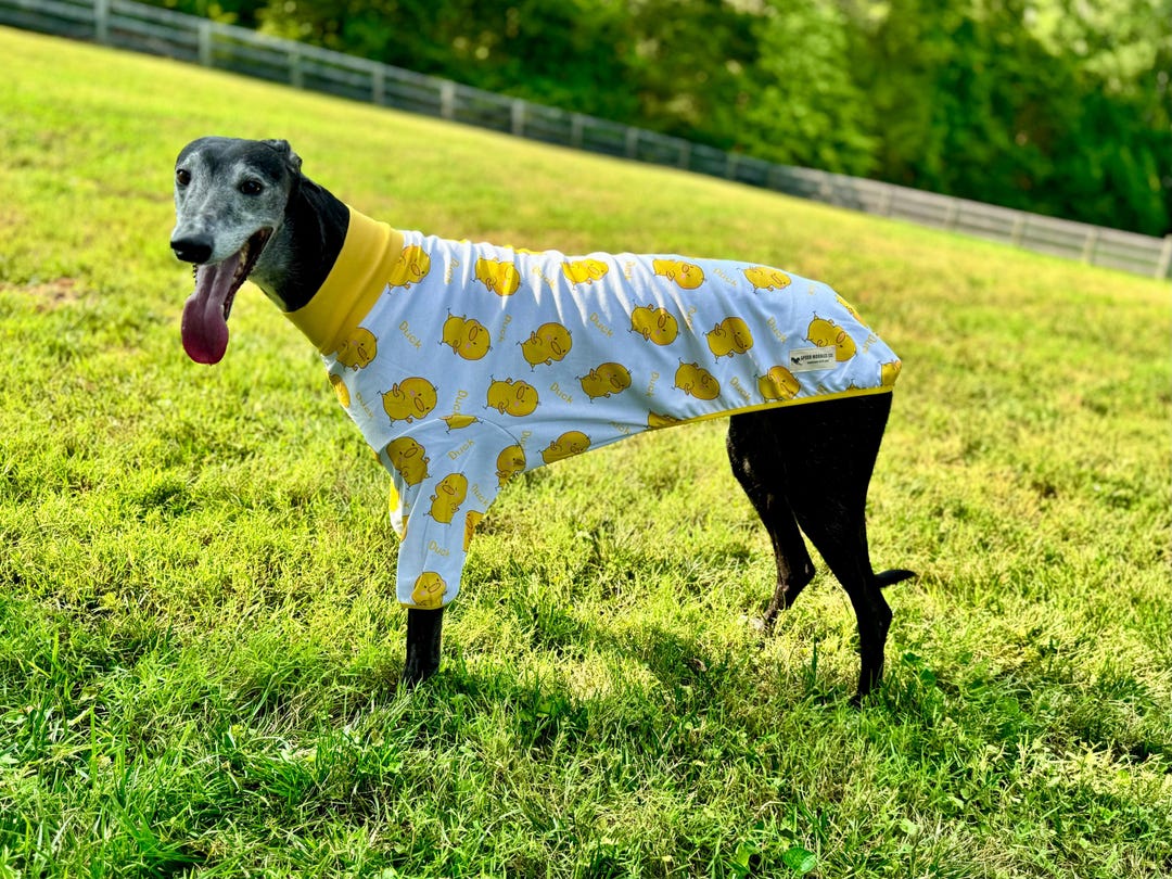 2-sleeve Style Handmade Cotton Blend Greyhound Pajamas/white With ...