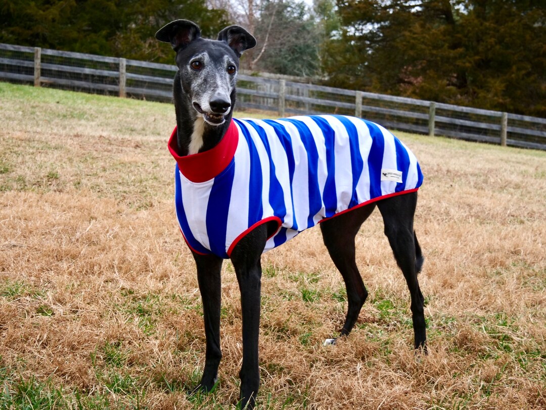 Sleeveless Style Handmade Cotton Blend Greyhound Pajamas/blue Stripes ...