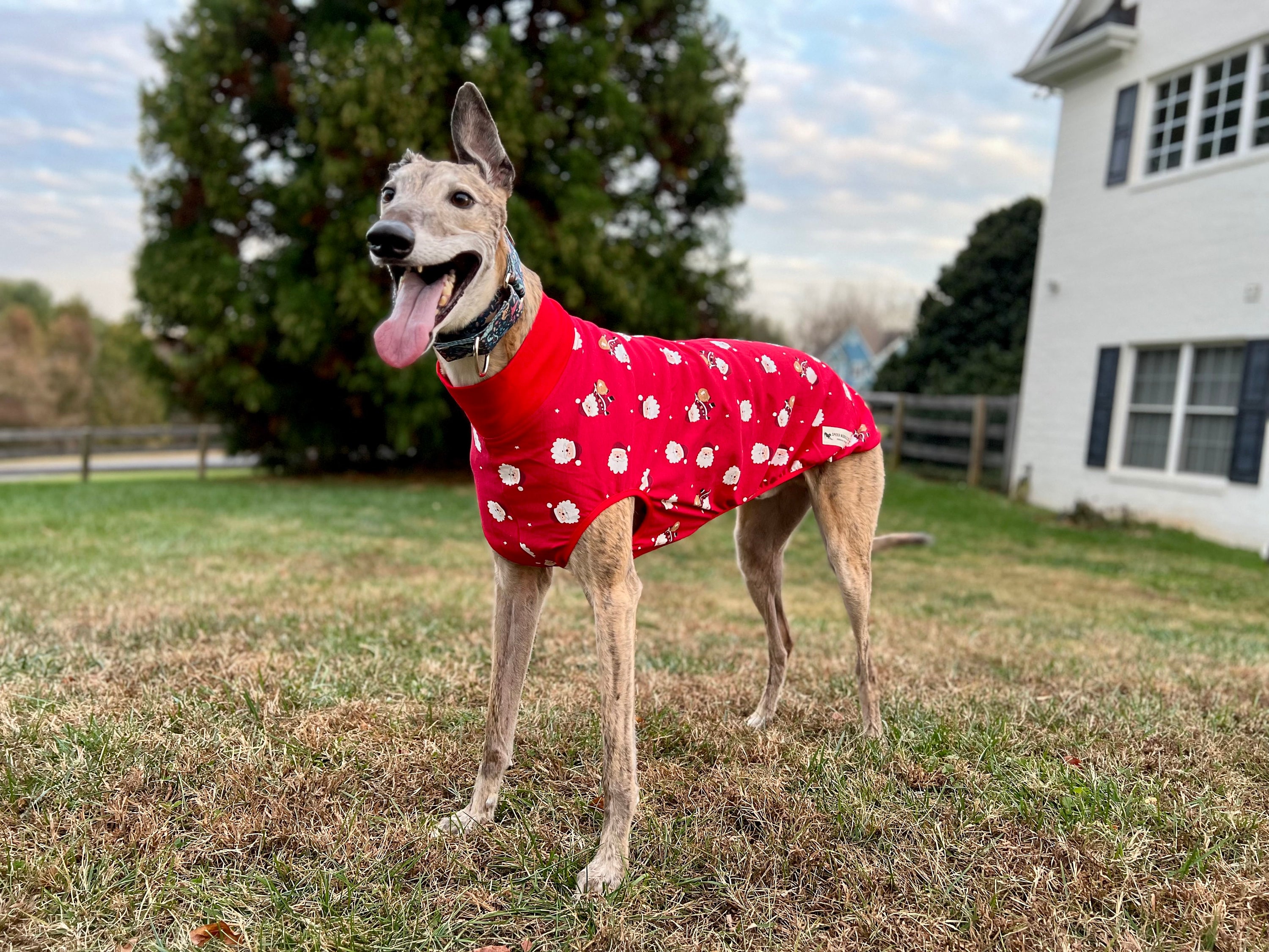 Sleeveless Style Handmade Stretchy Cotton Blend Greyhound Pajamas/red ...