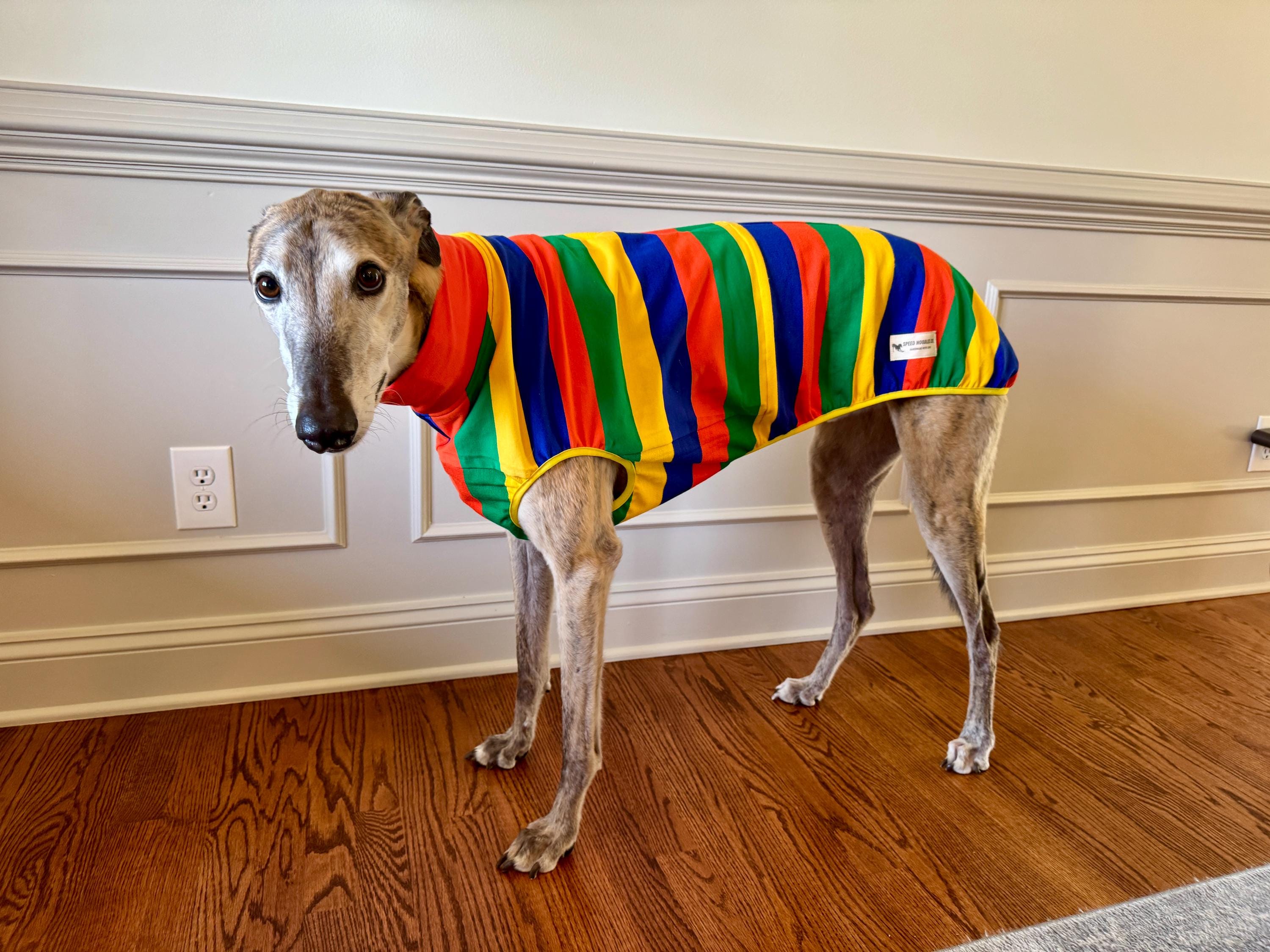 Sleeveless Style Handmade Cotton Blend Greyhound Pajamas/orange Blue ...
