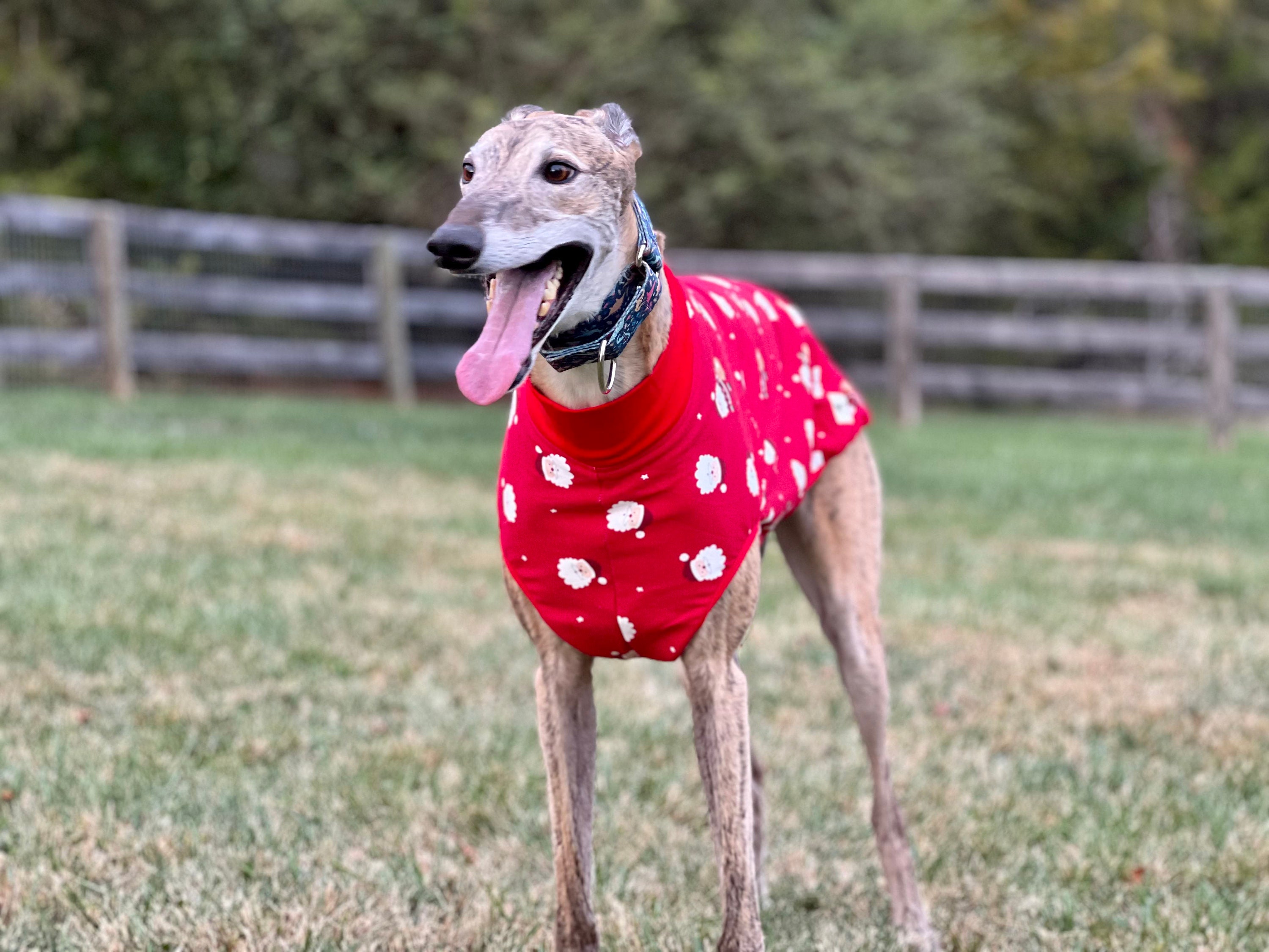 Sleeveless Style Handmade Stretchy Cotton Blend Greyhound Pajamas/red ...
