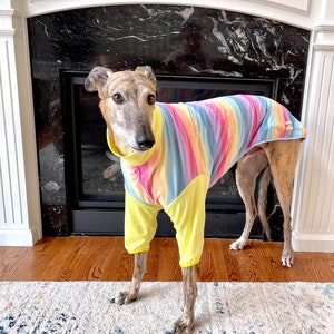 2-Sleeved Style Greyhound Pajama