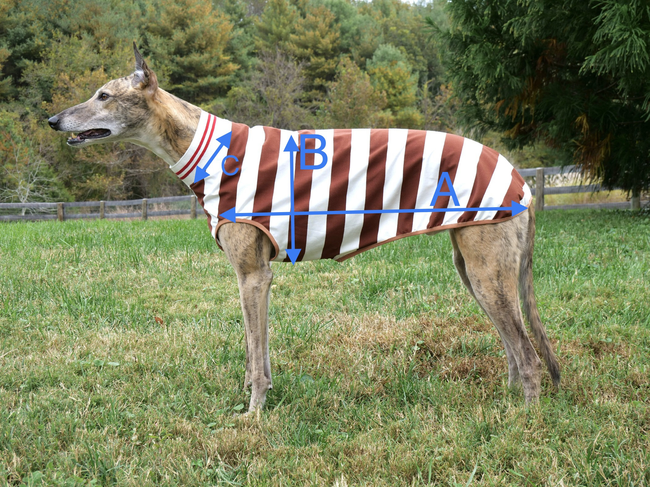 Sleeveless Style Cotton Greyhound Pajamas - Etsy