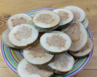 Willow Tree Slices