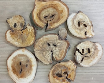 Decorative Willow Tree Slices