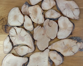 Weißdorn Holz Scheiben