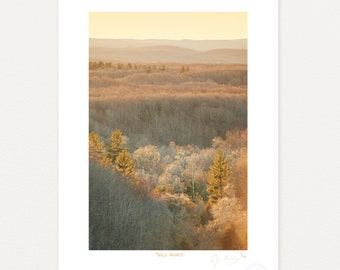 Wild Honey, Landscape Photography Print by James Manning, Limited Edition, 11x17, 17x22in