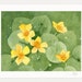 see more listings in the Watercolor section