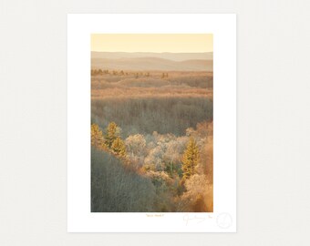 Wild Honey, Landscape Photography Print by James Manning, Limited Edition, 11x17, 17x22in