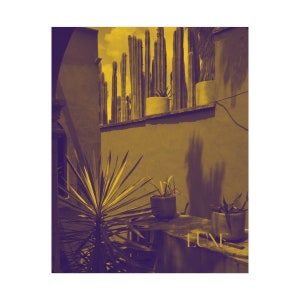 Rolled Prints - Luxe Kakteen Poster