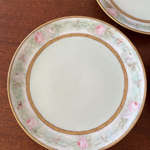 Set of 3 Haviland France Hand Painted 6” China Plates