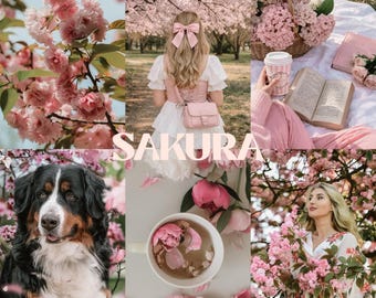 May include: A collage featuring pink cherry blossoms, a person with a pink hair bow, a picnic with a book and flowers, a Bernese Mountain Dog, a cup of tea with petals, and a person in a floral dress, with the text SAKURA LIGHTROOM PRESETS.