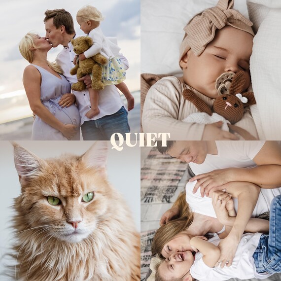 Clean Modern Lightroom Presets, True Color Presets for Family and Portrait Photos, Soft Natural Filters, Mobile & Desktop
